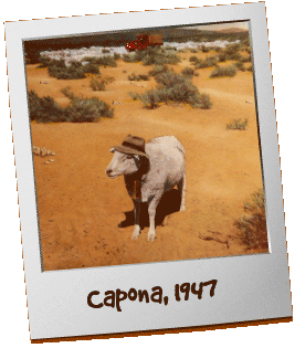 Capona, 1947